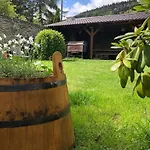 Casa de hóspedes Pod Třebouňákem 3*