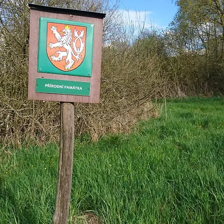 Pod Trebounakem 3* Treboun