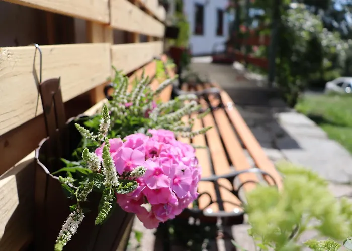 게스트하우스 Pod Trebounakem Treboun