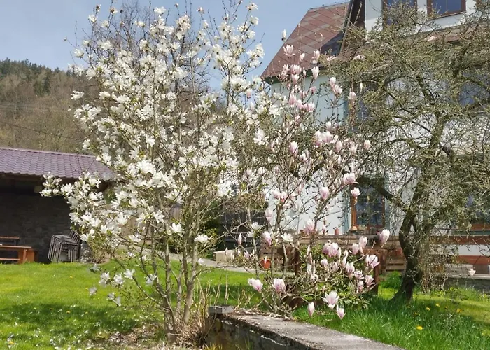 게스트하우스 Pod Trebounakem Treboun