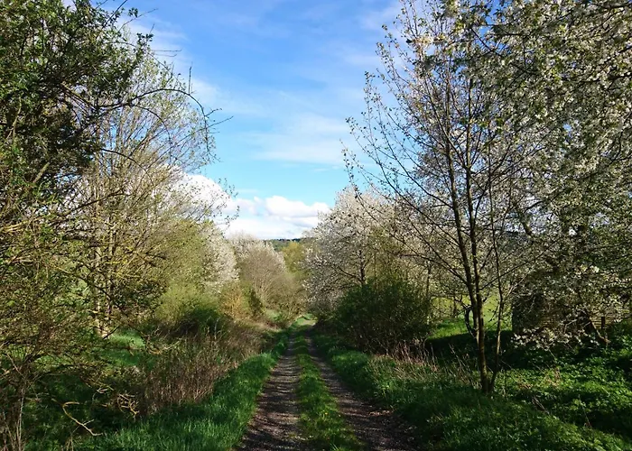 게스트하우스 Pod Trebounakem Treboun