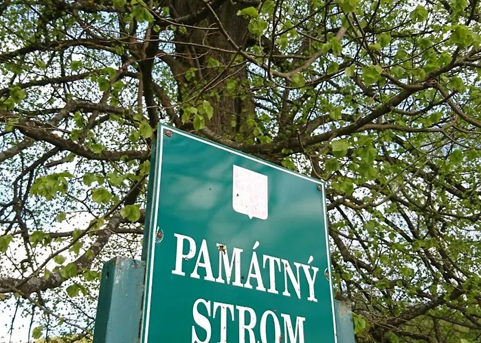 Pod Trebounakem * Treboun