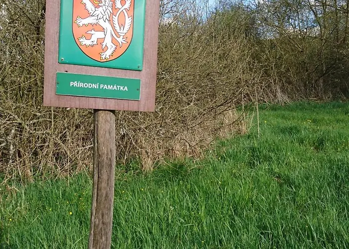Pod Trebounakem 3* Treboun